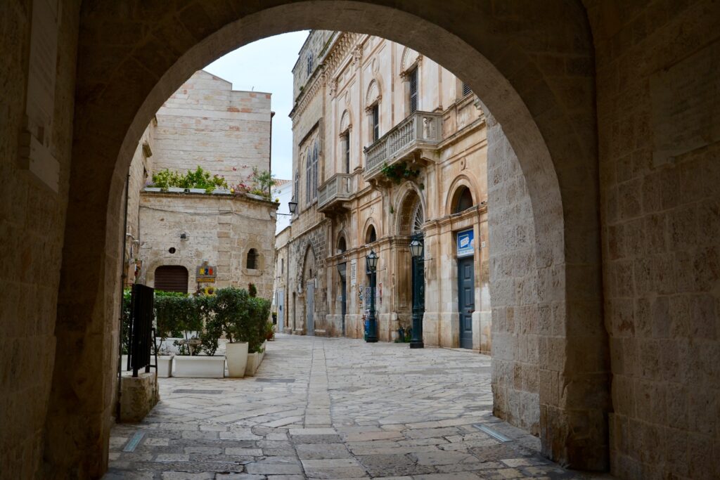 170567345 3007036486249347 702236440352116551 n